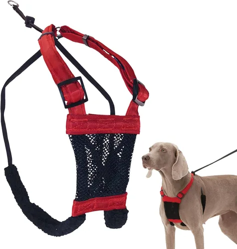 Miniatura 12 de Arnés para perro Sporn sin tirones para perros pequeños - Negro de malla, nylon resistente, transpirable, liviano, ajustable, acolchado, suave
