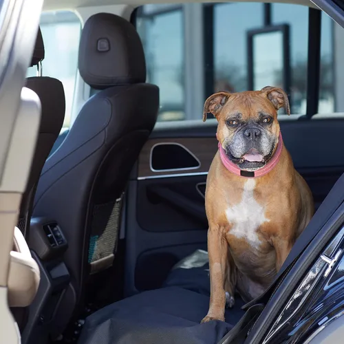 Miniatura 5 de Amazon Basics Funda impermeable para asiento de automóvil para perro, protector a prueba de arañazos para mascotas, banco trasero de automóvil, 56 x