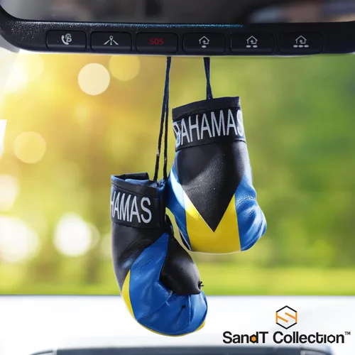 Miniatura 2 de SandT Collection Guantes de boxeo pequeños con bandera del país - Guantes de boxeo para colgar