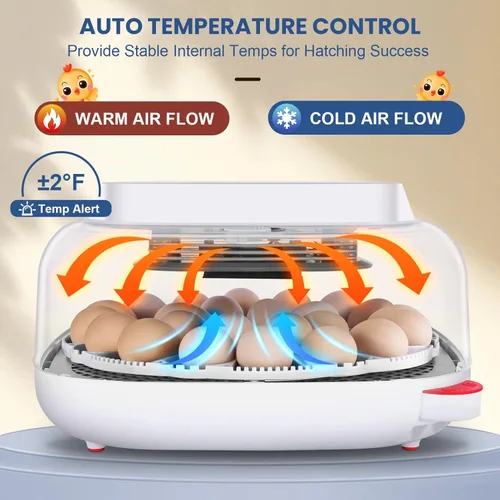 Miniatura 3 de Sailnovo 24 incubadoras de huevos para incubar huevos, control automático de temperatura y giro de huevos, vela de huevos, incubadora de visión