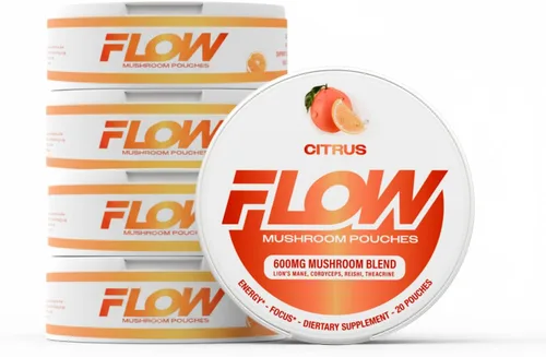 Miniatura 10 de Flow Pouches Bolsas nootrópicas de hongos – 600 mg orgánico de hongos energéticos ultra bolsas con melena de león, reishi, cordyceps