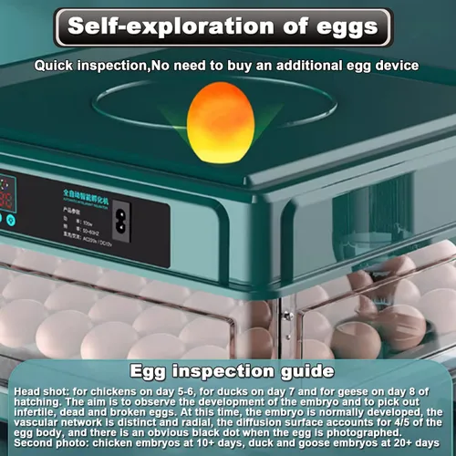 Miniatura 5 de Incubadora de huevos, 120/128 huevos de gallina automática con girador automático de huevos, pantalla digital LED, incubadora de control de humedad