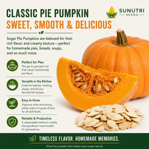 Miniatura 3 de Semillas de calabaza, más de 25 pasteles de azúcar, reliquia, semillas sin OMG, Cucurbita Pepo