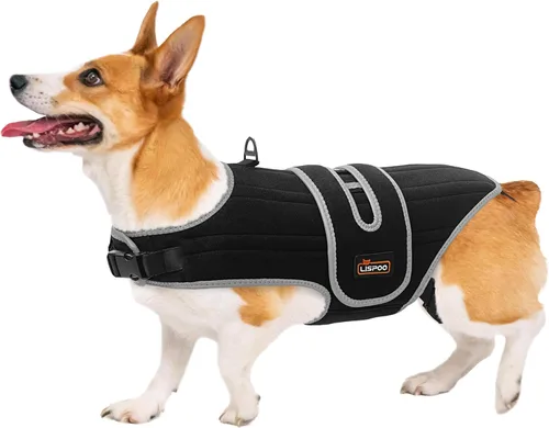 Miniatura 9 de Soporte de espalda para perro para IVDD, soporte espinal de apoyo completo con soportes metálicos para enfermedades del disco, alivio del dolor
