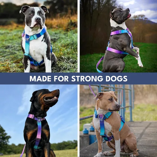 Miniatura 8 de Spark Paws Arnés para perro sin tirones con asa para perros grandes, arnés resistente para razas grandes y fuertes, ajustable, diseño halter