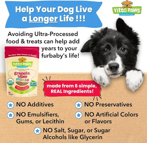 Miniatura 5 de Mini golosinas orgánicas de entrenamiento para perros, galletas crujientes y bajas en calorías con fresa y mantequilla de maní, vegano, grado