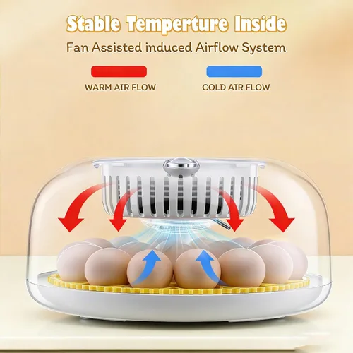 Miniatura 2 de Sailnovo Incubadora de 18 huevos para incubar huevos con giro automático de huevos y pantalla de humedad, control de temperatura, visión clara