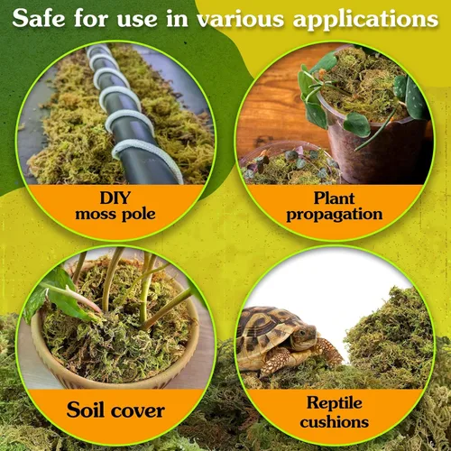 Miniatura 6 de Musgo natural para plantas de interior, musgo seco para plantas en maceta, musgo de orquídea para trasplantar, musgo de bosque para mezcla