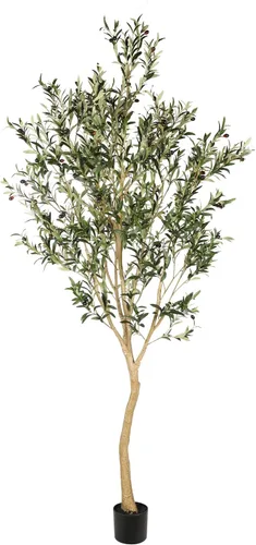 Realead - Árbol de olivo artificial grande de 8 pies de alto - Árbol de olivo realista de seda grande artificial para interiores - Árboles de olivo