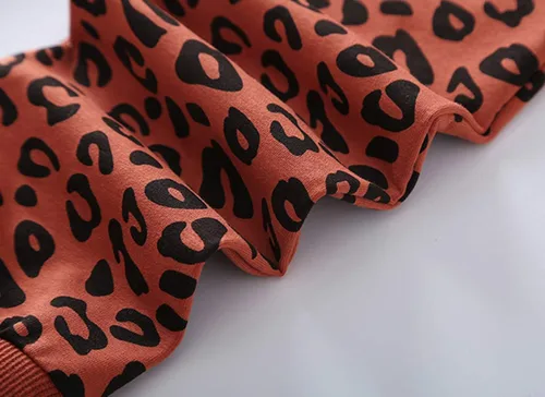 Miniatura 7 de Conjunto de ropa con estampado de leopardo para niñas pequeñas, camiseta de manga larga y pantalones, 2 piezas