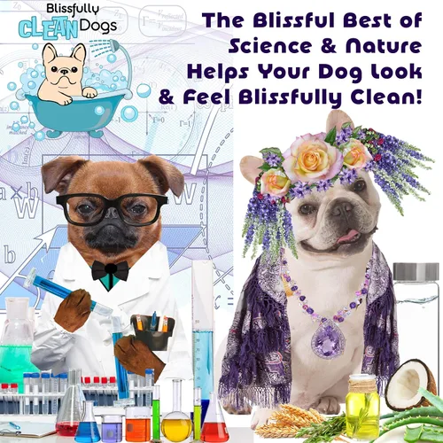 Miniatura 6 de The Blissful Dog Shine-On + Sheen Coat - Spray para perro, acondicionador fácil de usar, acondicionador sin enjuague sensible a la piel, espray