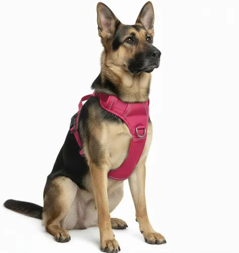 Miniatura 19 de Arnés sin tirones para perro, con 2 clips para correa, chaleco Oxford reflectante ajustable para mascotas con asa de fácil control para perros Negro