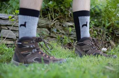 Miniatura 6 de Peruvian Link Calcetines de alpaca tratados con aloe vera