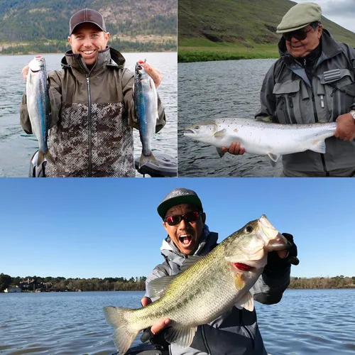 Miniatura 8 de Dr.Fish Paquete de 100 anzuelos de pesca de pulpo, agua salada y agua dulce, cebo vivo compensado bagre lubina surf anzuelos de pesca Texas Drop