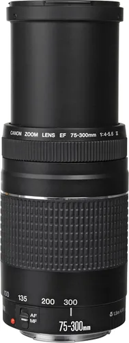 Miniatura 7 de Cámara DSLR Canon EOS 4000D con lente EF-S 18-55mm III y lente EF 75-300mm III paquete básico - Incluye: batería de repuesto LPE10 de vida extendida
