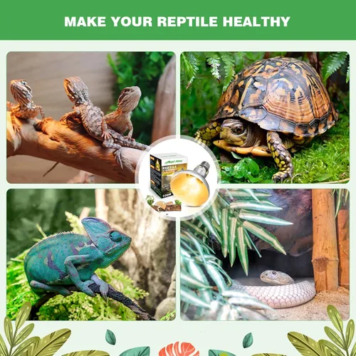 Miniatura 8 de Paquete de 2 bombillas de calor de reptiles de 100 W, bombilla de espectro completo para reptiles UVA/UVB y luz de punto de disfrute, luz UVB