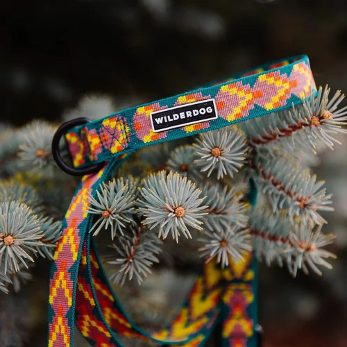 Miniatura 5 de Wilderdog Serie de collares ultraligeros para perros - Grande - Havasu