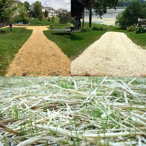 Miniatura 7 de Estacas de jardín resistentes de 6 pulgadas fabricadas en Estados Unidos. Potencia de sujeción más fuerte frente a las estacas de metal