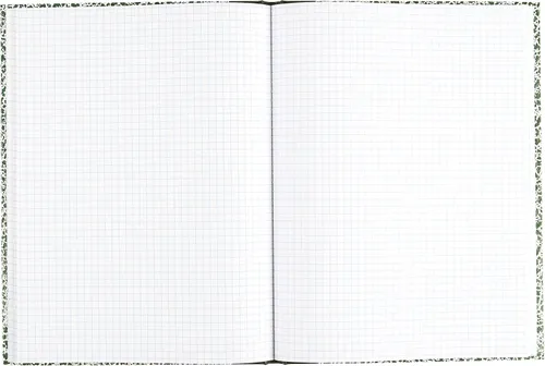 Miniatura 6 de National Composition Lab - Cuaderno con regla cuadrille, cubierta verde, (60) hojas de 10.13 x 7.88