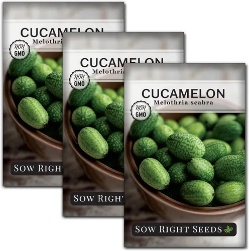 Miniatura 8 de Sow Right Seeds - Semillas de Cucamelon para plantar - Paquete de reliquia sin OMG con instrucciones para plantar un jardín de verduras casero al
