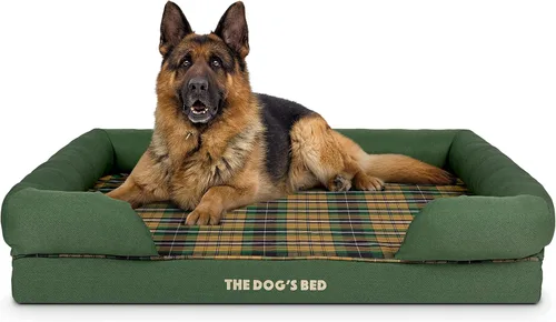Miniatura 20 de The Dog's Bed - Cama ortopédica de espuma viscoelástica para perros medianos, colchón de soporte de alta densidad, entrada frontal baja, funda negro