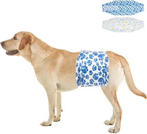 Miniatura 10 de Dono Pañales desechables para perros machos, 40 unidades, con indicador de humedad, a prueba de fugas, con tecnología de gel de secado rápido