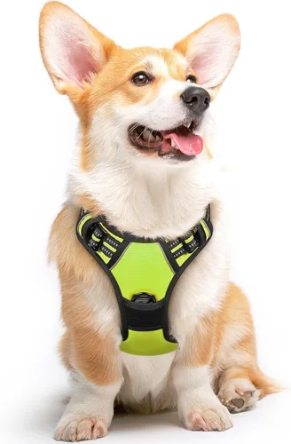 Miniatura 80 de Eagloo Arnés para perro pequeño, sin tirones, chaleco de servicio con tiras reflectantes y asa de control, ajustable y cómodo para caminar, arnés