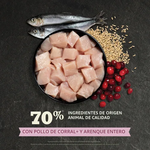 Miniatura 4 de ACANA Comida seca para gatitos First Feast pollo y pescado, bolsa de 4 libras