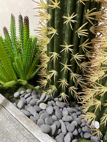 Miniatura 2 de Black Rock, CJGQ - Piedras de río de 3 libras para plantas suculentas, rocas decorativas para jardines de paisajismo al aire libre, piedras