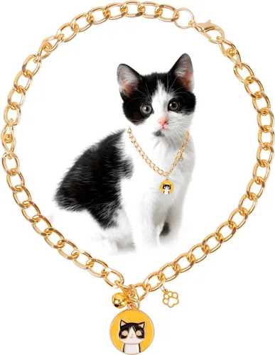 Miniatura 10 de HOWWFALY Collar para Perro y Cadena Collar para Gato de Acero Inoxidable Ajustable Collar en Forma de Corazón de Oro 18K para Mascotas Pequeñas