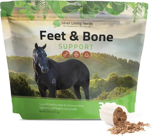 Silver Lining Herbs Suplemento para pies y huesos para caballos en polvo, tendones naturales, ligamentos y tejidos circundantes y suplemento de