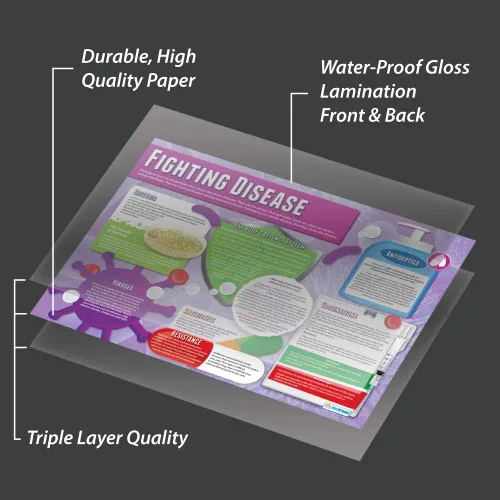Miniatura 3 de Daydream Education Lucha contra enfermedades Pósters científicos Papel laminado brillante que mide 33 x 23.5 pulgadas Gráficos STEM