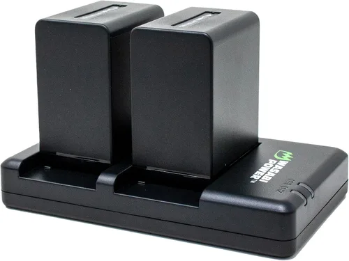 Miniatura 2 de Wasabi Power Batería (paquete de 2) y cargador dual USB compatible con Sony NP-FV100 y DCR-SR15, DCR-SX45, FDR-AX100, HDR-CX105, HC9, PJ30V, TD20V