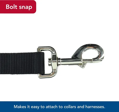 Miniatura 6 de Correa de una sola capa para perros de Coastal