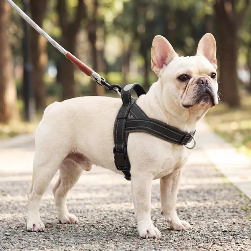 Miniatura 8 de Arnés para perro sin tirón con asa, chaleco reflectante ajustable Corgi, arnés para mascotas acolchado con malla de aire transpirable con clip