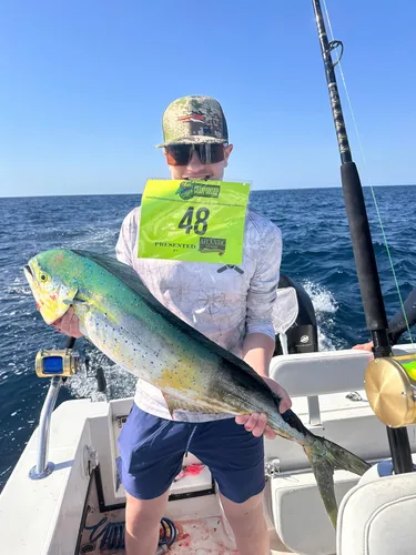 Miniatura 8 de Lobo Lures Micro-Typhoon UV 5 "Mahi Tuna Ahi Señuelo Trolling Señuelo Big Game Azul Lumo Glow
