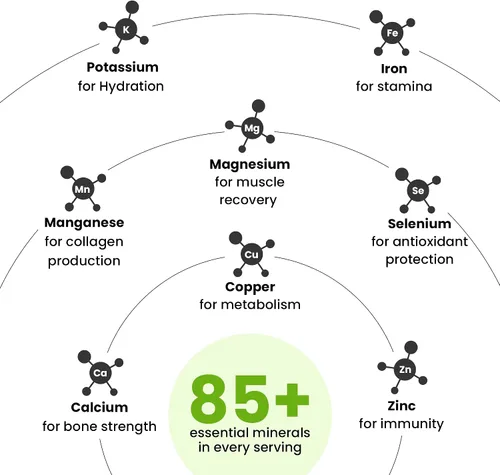 Miniatura 3 de Better Alt Gomitas de Shilajit puro del Himalaya con 100% Shilajit Grado Oro de alta potencia 60 gomitas para aumento de energía y apoyo