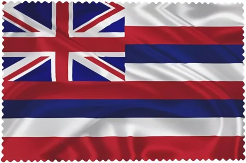 Miniatura 8 de Rectangular Placemats Set of 4, Heat Resistant Flag of Hawaii American Printed Kitchen Dining Table Mats