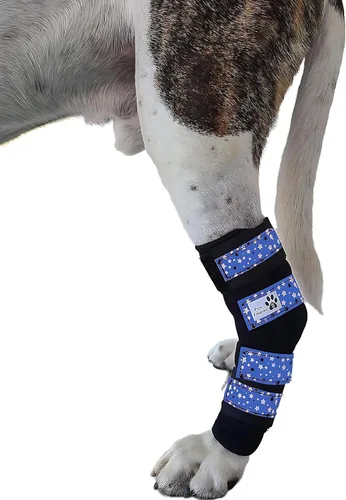 Miniatura 2 de Par de soportes para piernas de perro, ultra apoyo, cómodo, resortes de metal duales, soporte de hockey canino para artritis articular, ayuda a