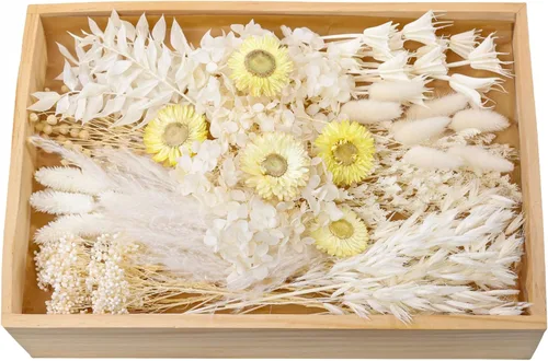 Juego de flores secas naturales, flores secas a granel con tallos, margaritas secas, hierba de cola de conejo seca, mini ramo (blanco)