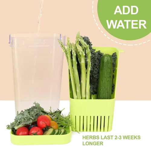 Miniatura 5 de LUVCOSY Herb Keeper, protector de hierbas de plástico sin BPA con una cesta interior para cilantro, menta, perejil y espárragos, mantiene