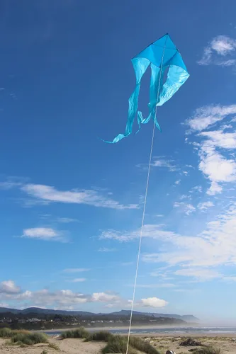 Miniatura 3 de In the Breeze Wave Delta Kite, cometa de una sola línea, tela Ripstop y tafetán, línea y bolsa incluidas Azul