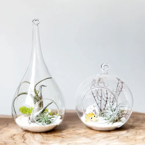 Miniatura 2 de Mkono Paquete de 2 macetas colgantes de vidrio para helechos de aire, jarrón colgante de plantas de terrario, decoración de Navidad, idea de regalo