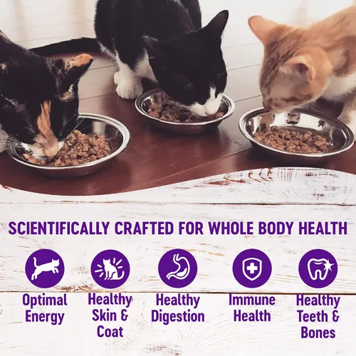 Miniatura 4 de Comida húmeda para gatos Healthy Indulgence, libre de granos, bolsa de 3 onzas (paquete de 24 envases), de Wellness