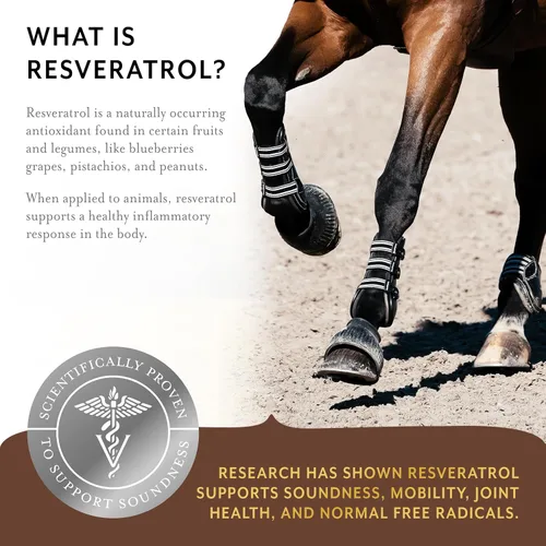 Miniatura 4 de Equithrive Suplemento original para articulaciones en polvo con resveratrol y ácido hialurónico para caballos, cuidado equino, 8 libras