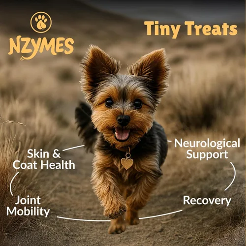 Miniatura 2 de Nzymes® Pequeñas golosinas antioxidantes – para articulaciones de perros, caderas, parálisis, piel, abrigo, pérdida de cabello, envejecimiento