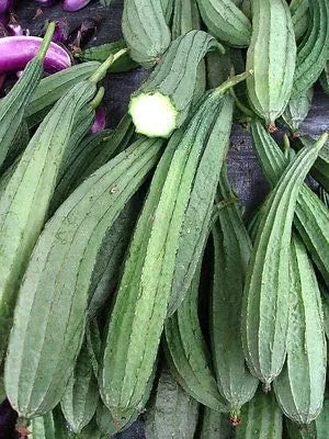 Calabaza en ángulo 20 semillas, lufa angulada, calabaza de cresta, okra china, muop khia