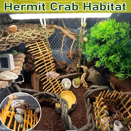 Miniatura 6 de Escalera de cangrejo ermitaño, juguete para escalar, accesorios de tanque de decoración de cangrejo ermitaño, decoración de hábitat de reptiles