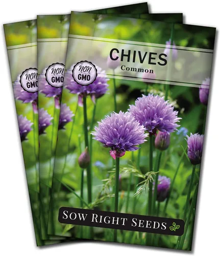 Sow Right Seeds - Semilla de cebollino para plantar - reliquia sin OMG; instrucciones para plantar y cultivar hierbas de cocina, jardín interior o