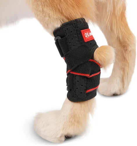 Soporte de hockey para perro para pierna trasera, tiras de resorte de metal integradas para esguinces, artritis, lesiones de ligamentos,